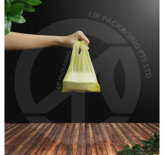 Mini Bag